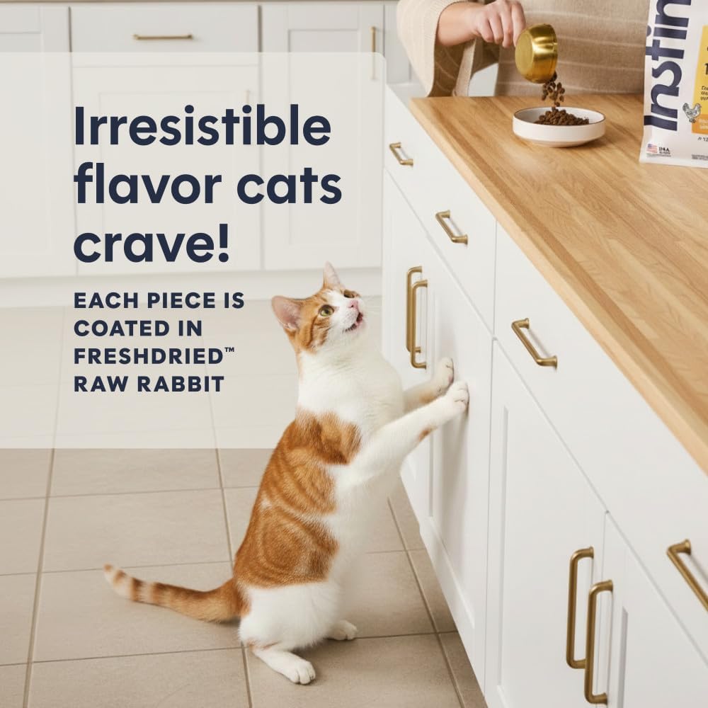 Instinct Original Dry Cat Food, Raw Coated Kibble, Real Chicken, 11 lb. Bag | Raw-coated kibble with cage-free chicken for strong muscles, digestive health, and healthy skin & coat, grain-free