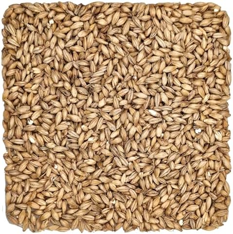 Rahr Standard 2-Row Malt 10 lb