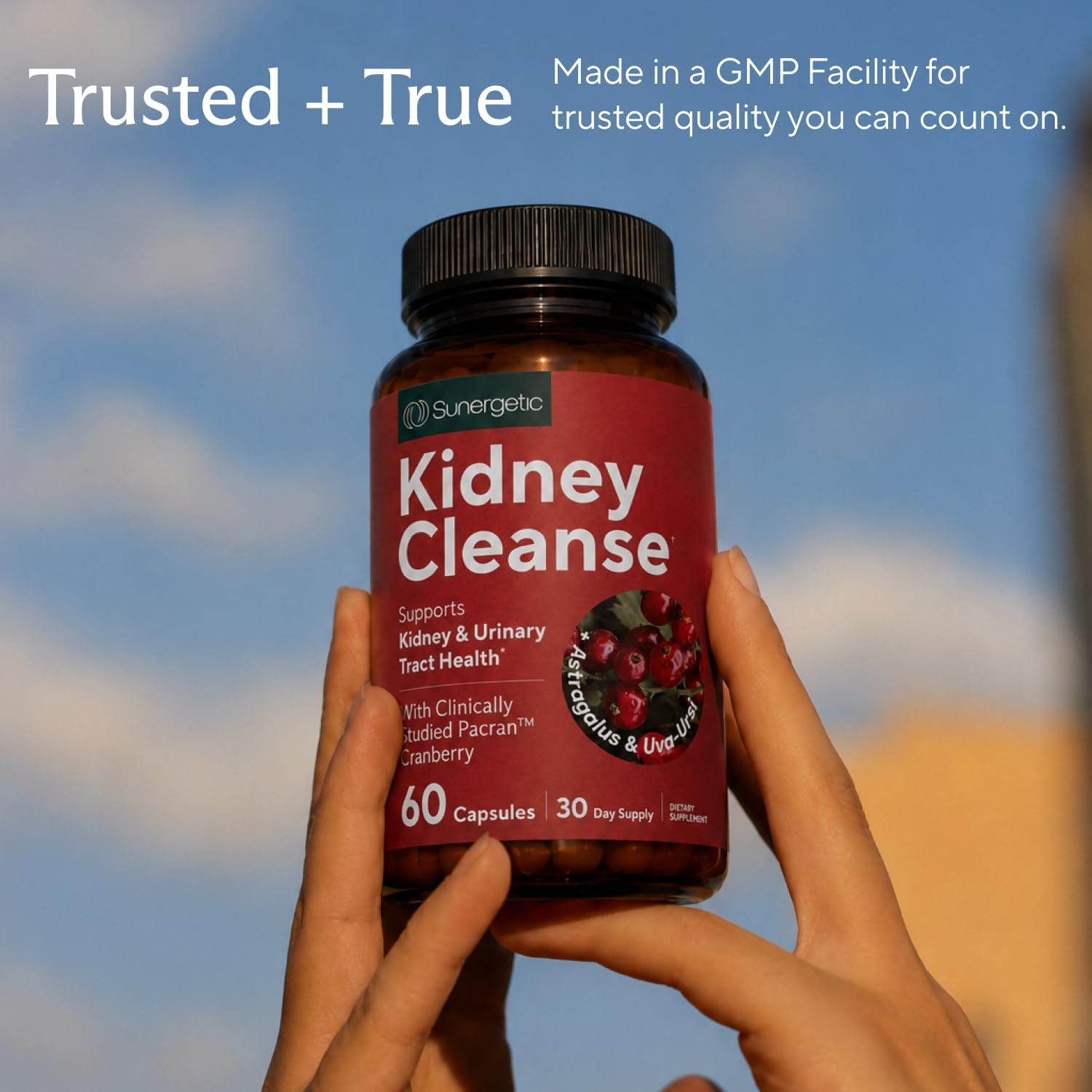Kidney Cleanse & Detox Support with Cranberry, 60 Vegetarian Capsules | Kidney support supplement with Pacran cranberry, astragalus, uva ursi, nettle