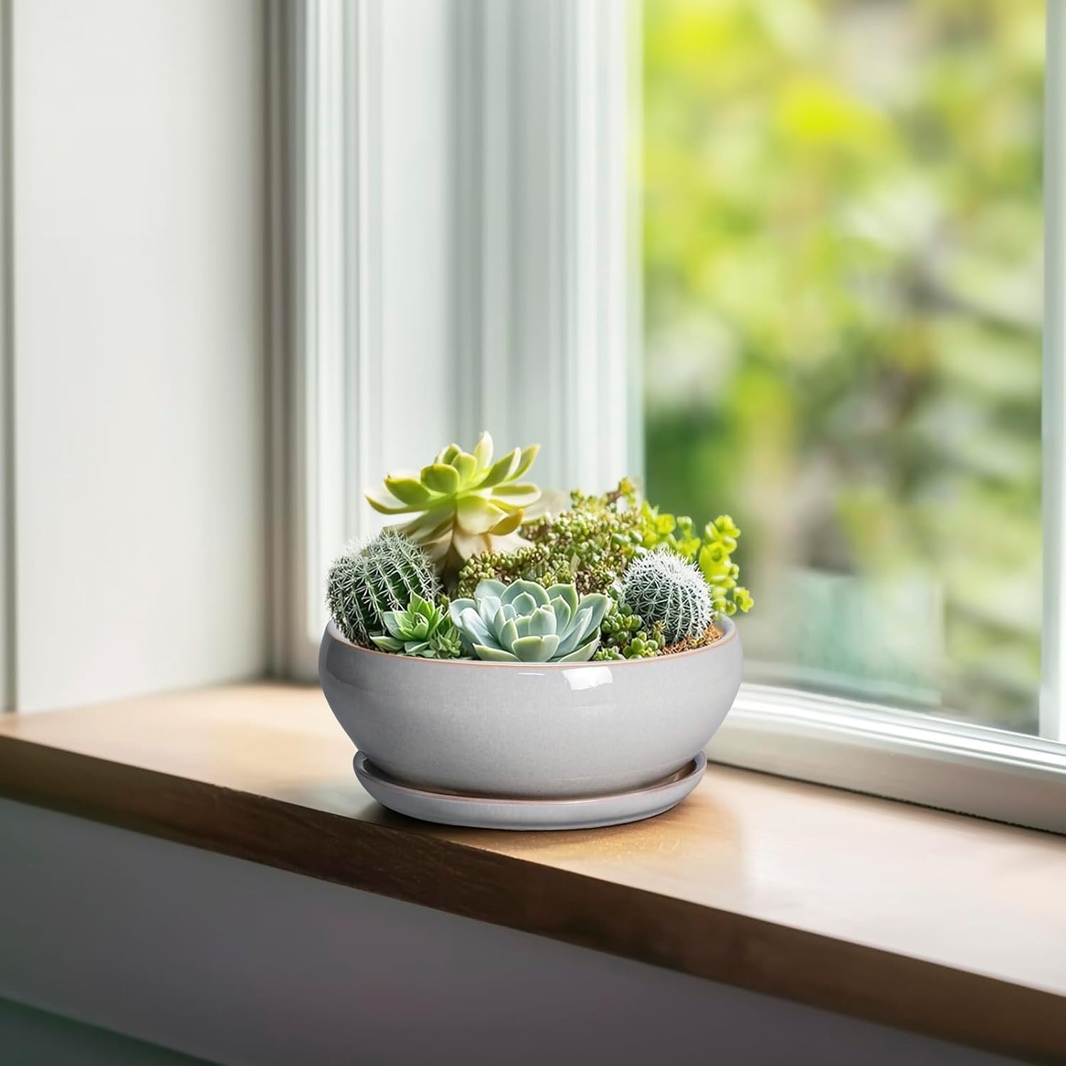 SQOWL 7 Inch Round Ceramic Succulent Planter Pot Drip Glazed Shallow Planter with Drainage Bamboo Tray for Indoor Plants