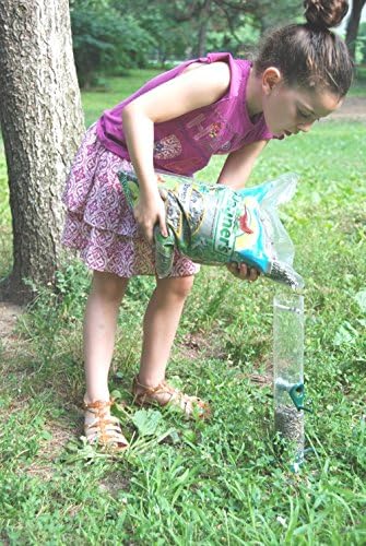 Wagner's 62028 Striped Sunflower Seed Wild Bird Food, 5-Pound Bag