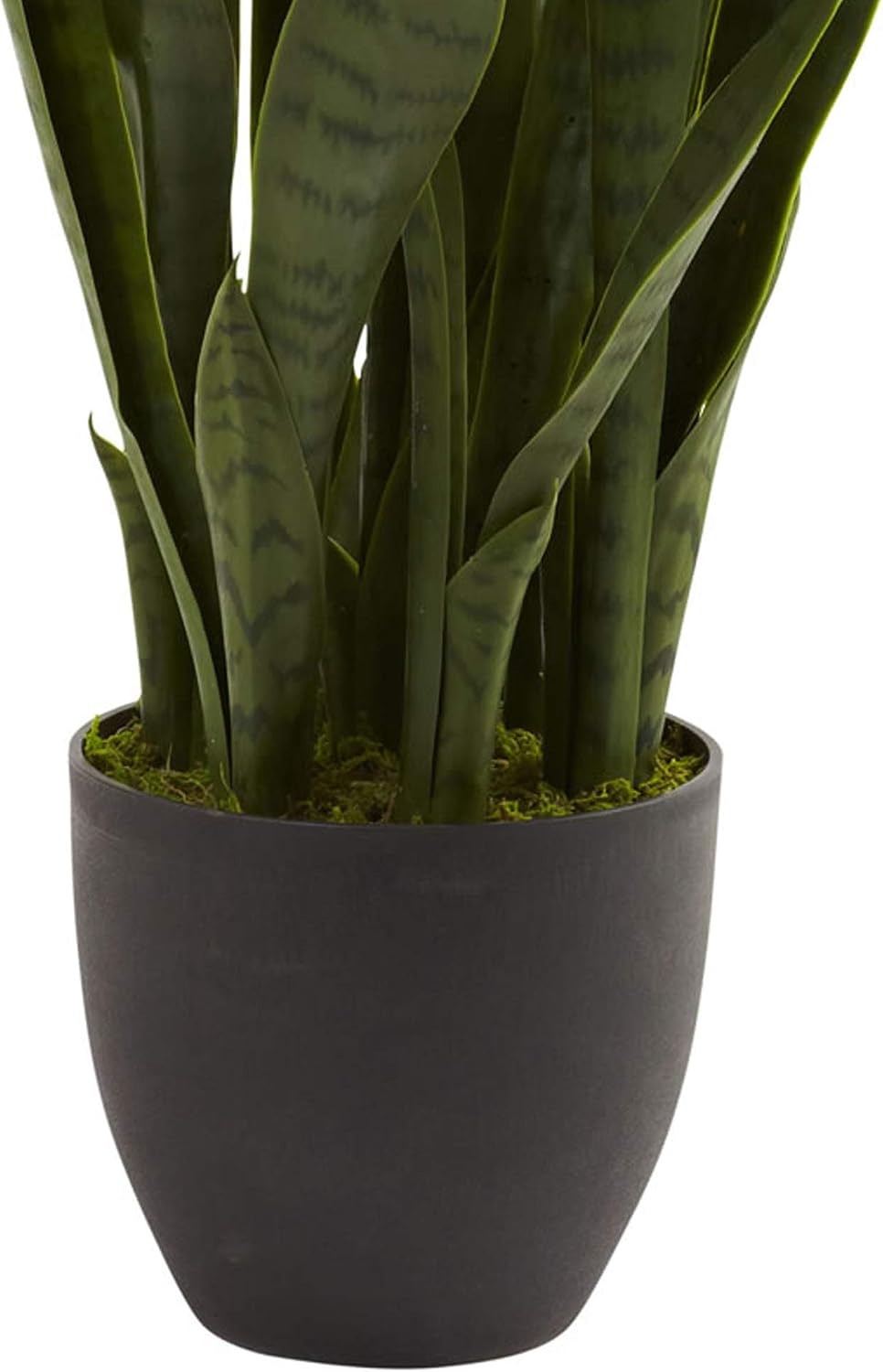 Nearly Natural 35in. Sansevieria with Black Planter and 4ft. Corn Stalk Dracaena Silk Plant (Real Touch), Green