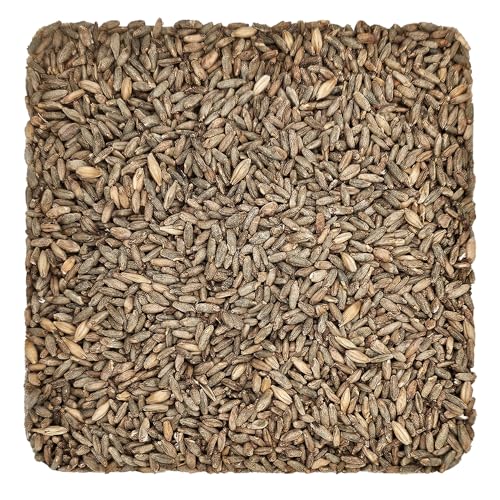 Briess-BM-5332 Rye Malt (5 lb) - Brown
