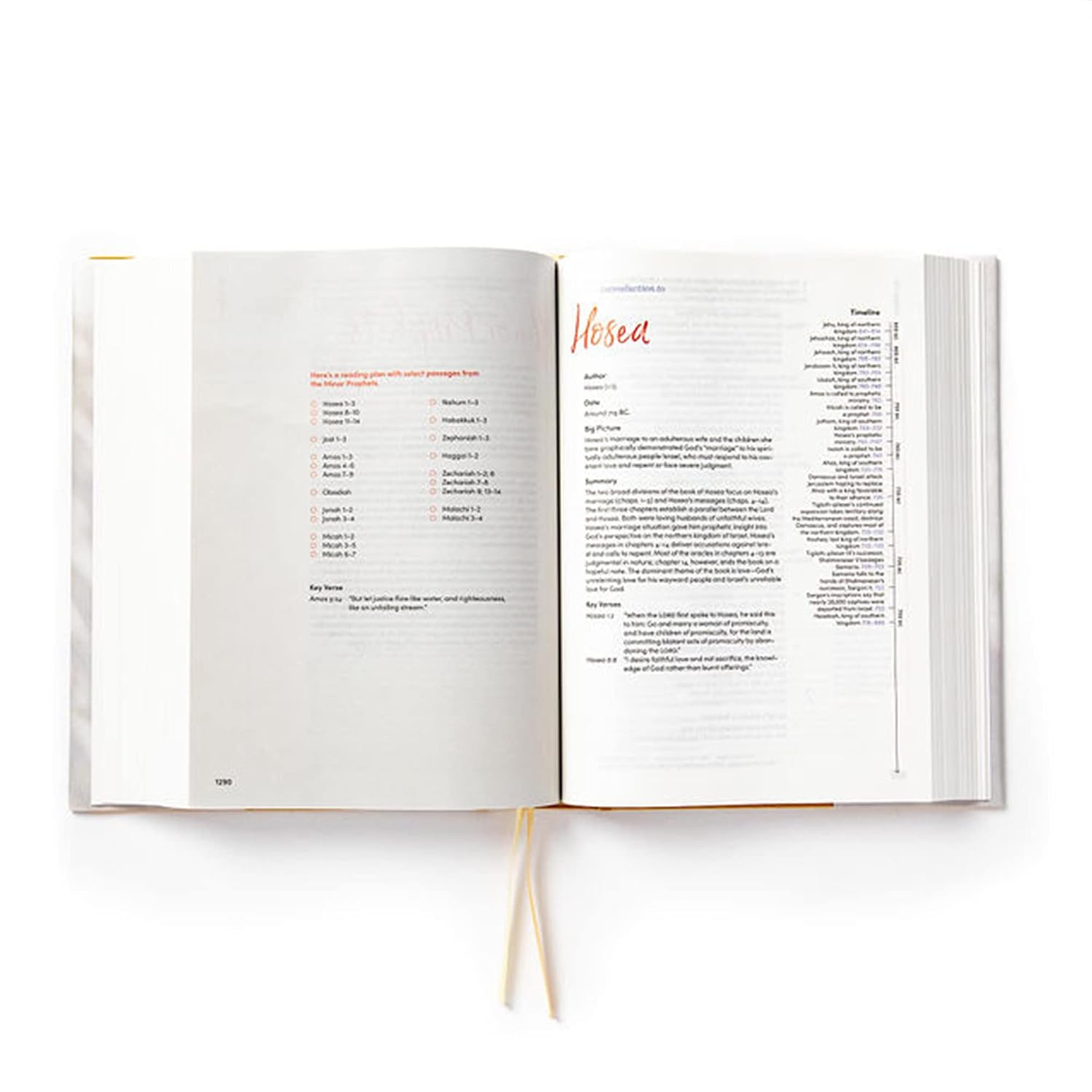 CSB Lifeway Women's Bible, Camel Cloth Over Board, Black Letter, Single-Column, Wide-Margins, Devotions, Articles, Word Studies, Character Profiles