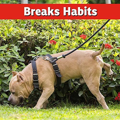Dog & Cat Repellent: Stops Chewing, Natural, Pet Safe - 32oz | Stops Chewing, Natural, Pet Safe