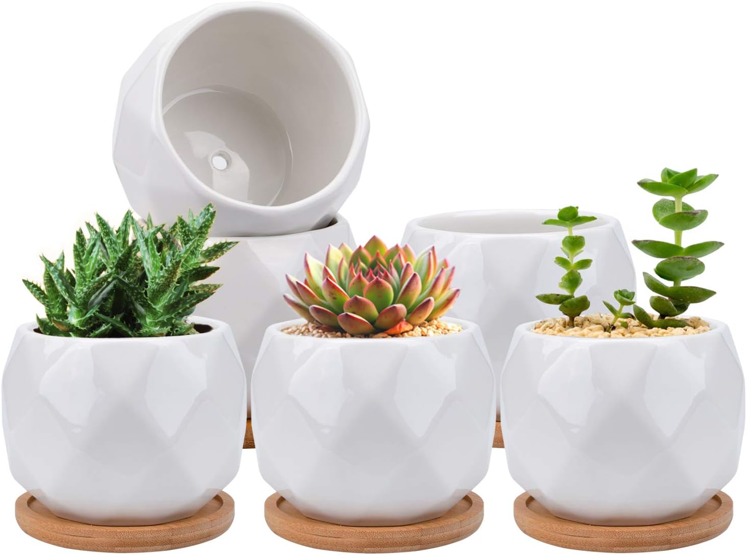 Jucoan 6 Pack Ceramic Succulent Planter Pot with Bamboo Tray