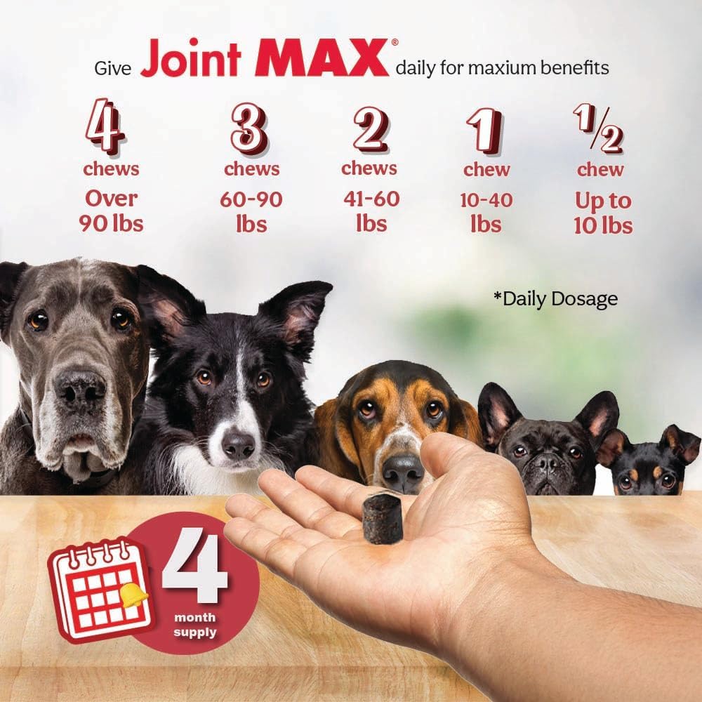TS Joint Supplement Vet Formulated Pain & Inflammation Relief Treats Hip Dysplasia & Arthritis.Glucosamine, Chondroitin, Turmeric, MSM, HA, Creatine, Omega 3 EPA+DHA. All Dogs 240 Soft Chews