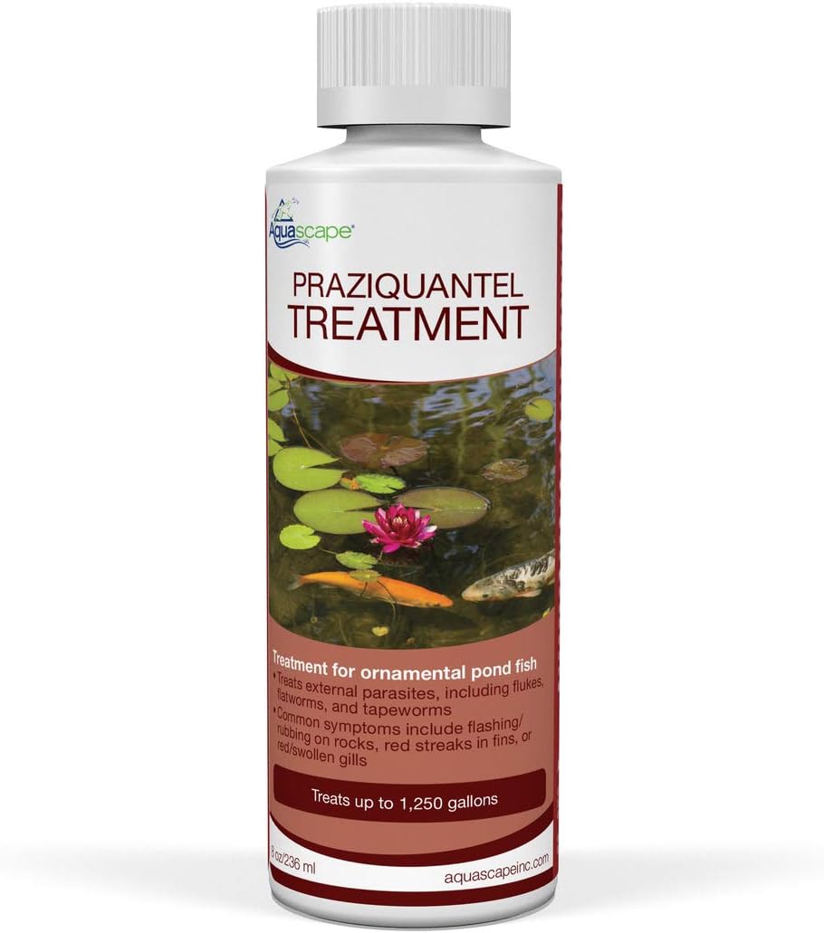 Aquascape 81041 Praziquantel Fish Treatment Liquid 250 g / 8.5 oz for Pond Water Feature