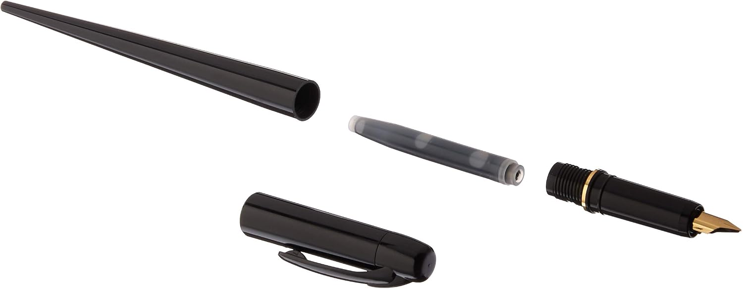 PLATINUM Fountain Pen, Black Body (DPQ-700A#1)