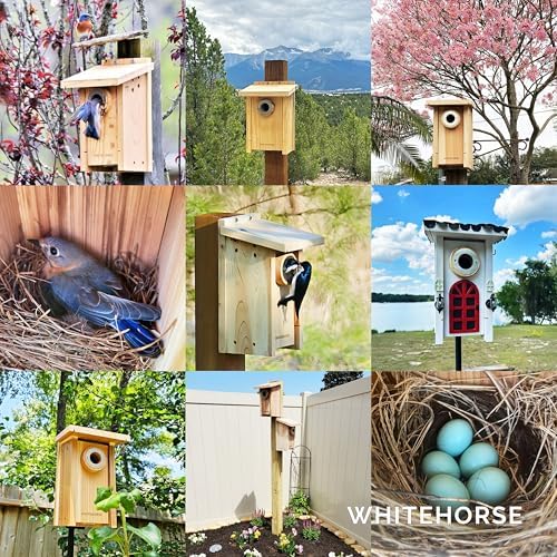 WHITEHORSE Bluebird House - Weatherproof Bird House for Outdoors - Cedar Birdhouse Built to NABS Specs - Nest Box for Bluebirds, Chickadees, Titmice