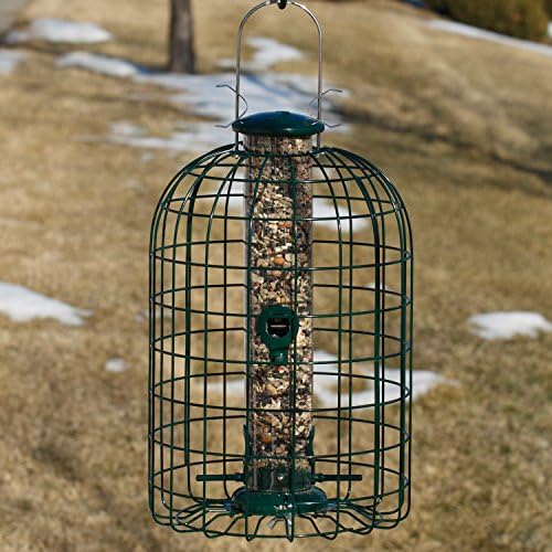 Audubon Squirrel Proof Caged Tube Feeder