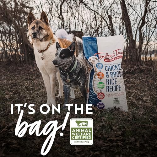 Tender & True Antibiotic-Free Chicken & Brown Rice Recipe Dog Food, 11 lb
