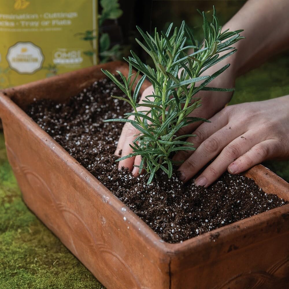 Black Gold Seedling Soil - Starter Soil for Planting Seeds - 16 Qt. - Modern