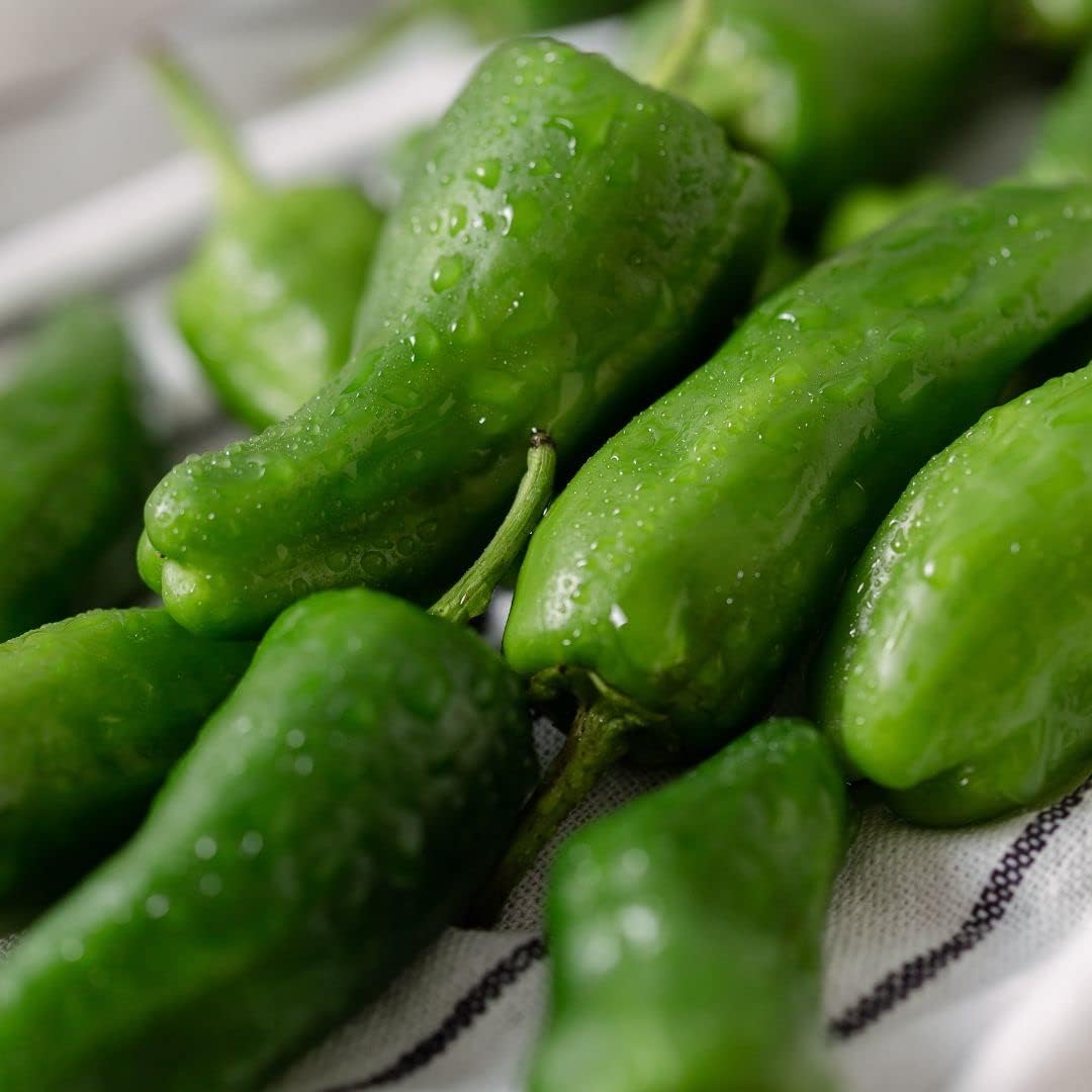 Pimientos DE Padron-100 Seeds (Padron Pepper)- Hot/Sweet/Mild,Spanish Heirloom !