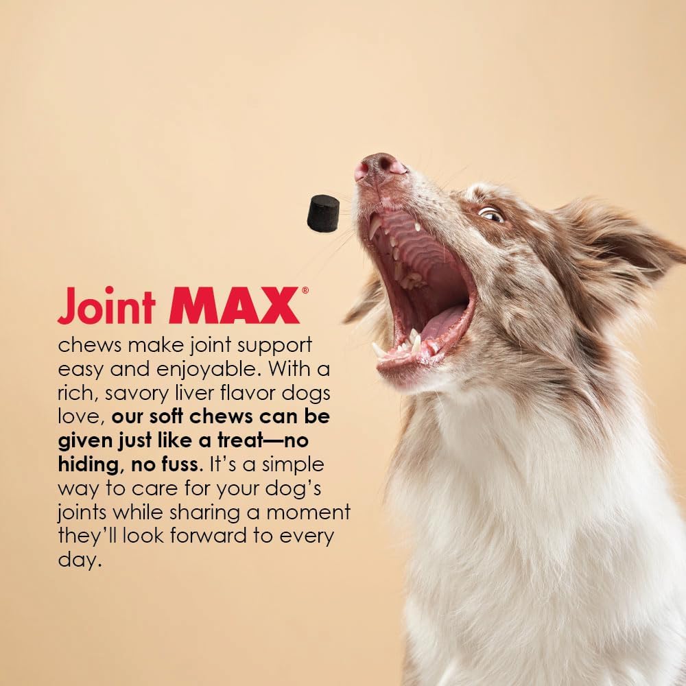 Double Strength Soft Chews (120 Chews)
