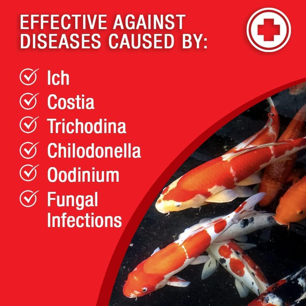 MICROBE-LIFT BSDT16 Broad Spectrum Disease Treatment for Ponds and Outdoor Water Garden, Safe for Live Koi Fish, Goldfish, Plants, and Decor, 16 Fl Oz