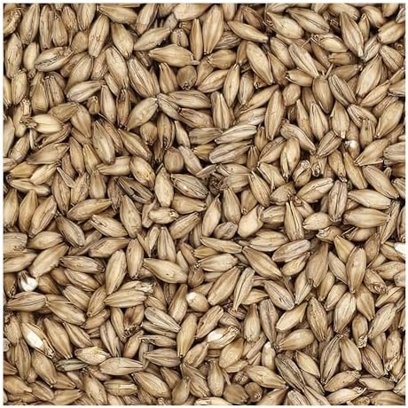 Rahr Standard 2-Row Malt 10 lb