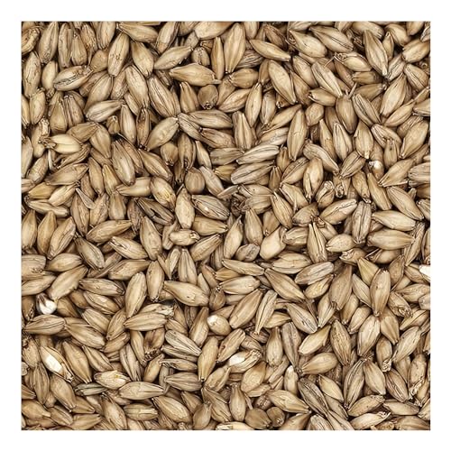 Rahr Standard 2 Row Malt 10 Lb.