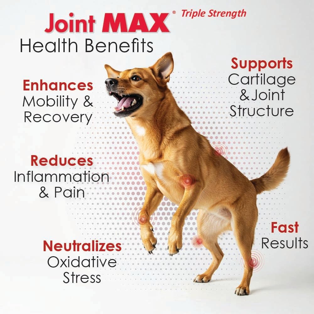TS Joint Supplement Vet Formulated Pain & Inflammation Relief Treats Hip Dysplasia & Arthritis.Glucosamine, Chondroitin, Turmeric, MSM, HA, Creatine, Omega 3 EPA+DHA. All Dogs 240 Soft Chews