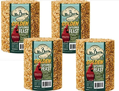Mr. Bird Golden Safflower Cylinder Large Seed Cylinder 62 oz.