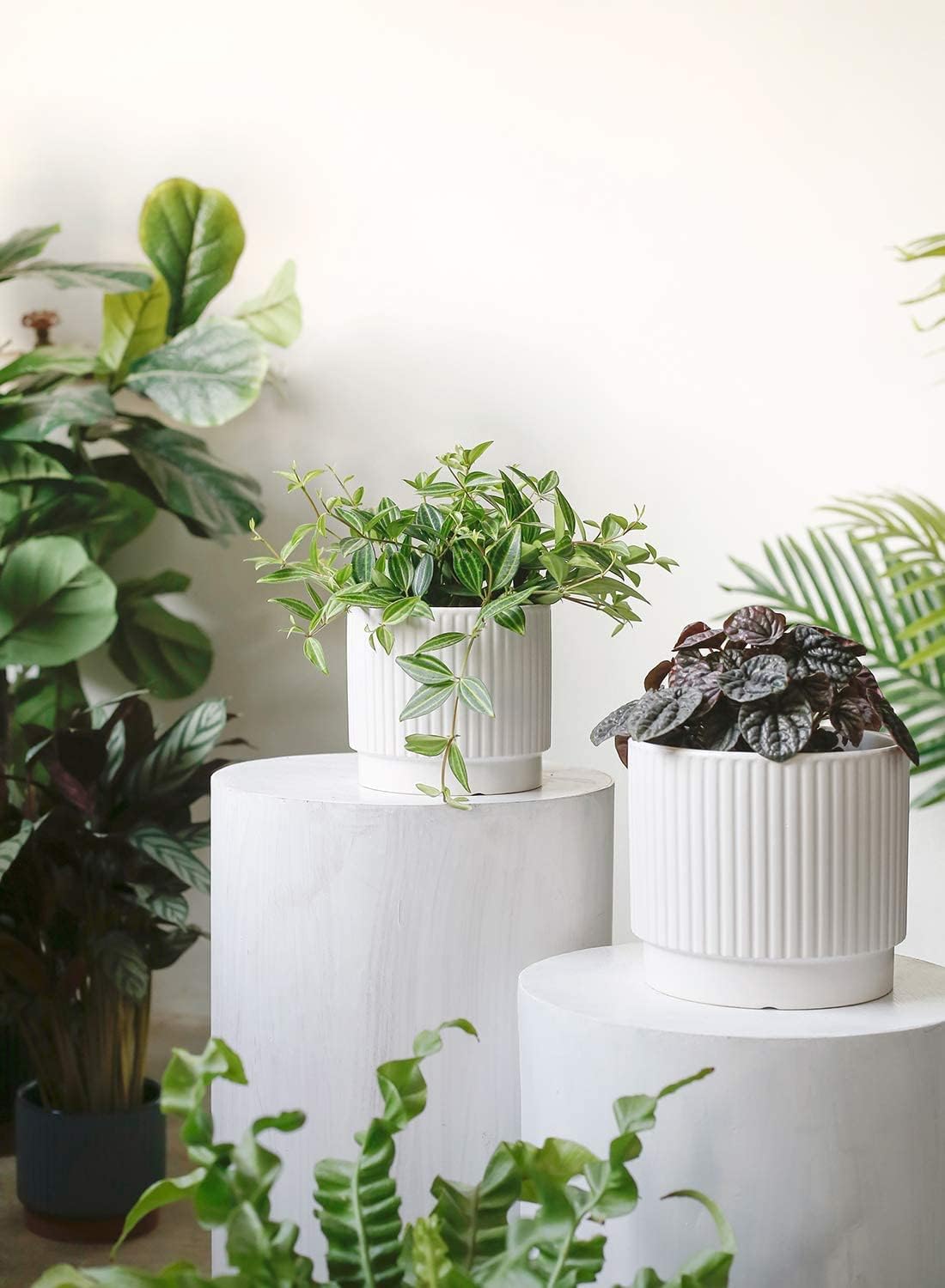 LE TAUCI Ceramic Plant Pots with Drainage Holes, Set of 3, 8+6.7+5.5 Inch Stripe Garden Planter Pots for Outdoor Indoor Plants Flower