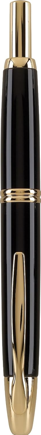 PILOT Vanishing Point Collection Refillable & Retractable Fountain Pen, Matte Black Barrel, Blue Ink, Fine Nib (60580)