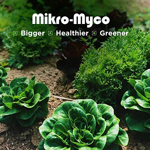 Mikro-Myco, Highly Concentrated Mycorrhizal Fungi –11 Endo/Ecto Mycorrhizae, Water Soluble Powder for Exponential Root Growth (4 oz)
