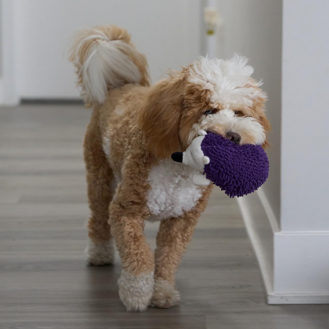SPOT Gigglers Hedgehog Dog Toy with Giggle Sound | Textured, Plush Shake and Wiggle Hedgehog Giggle Toy for Small and Medium Dog Breeds