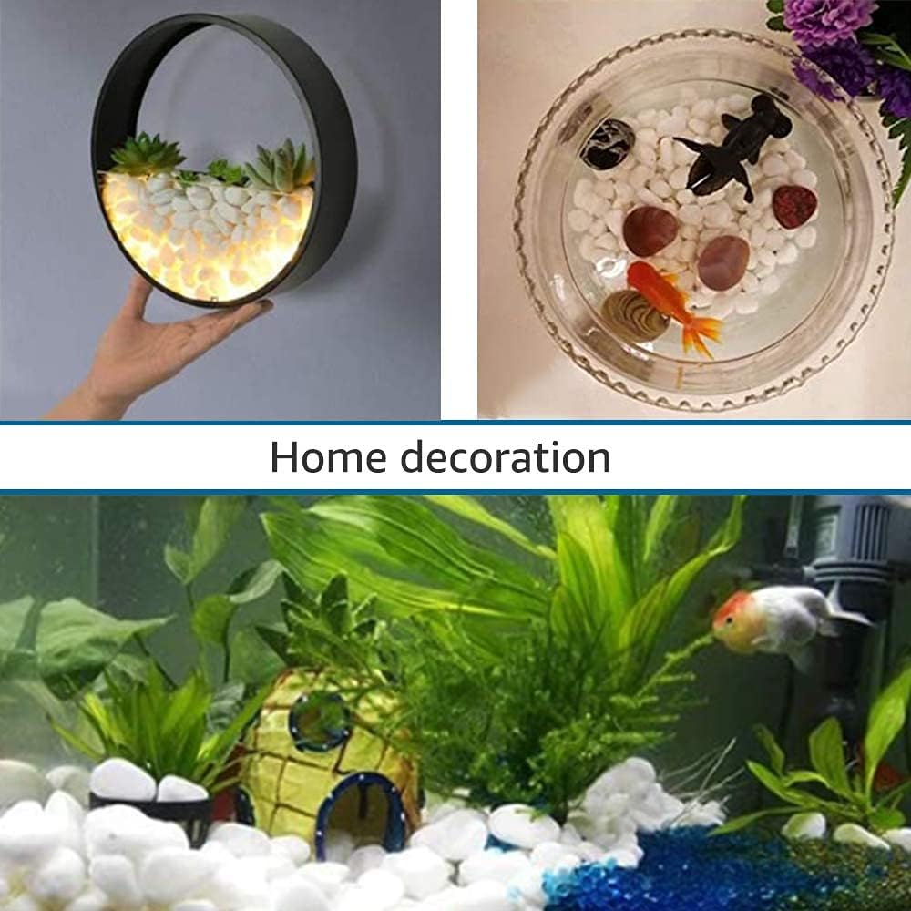 Pebbles for Plants 3 lb Natural Garden Decorative Stone Outdoor Aquariums Gravel 1-1.5 Inches