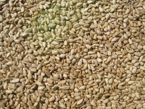 Cole's SM20 Sunflower Meats Bird Seed, 20-Pound