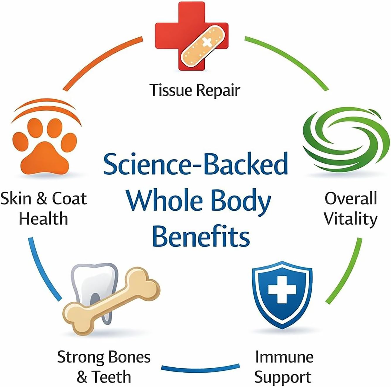 Digestive Enzymes + Probiotics for Dogs – Gut Health & Sensitive Stomach Support – Helps Relieve Gas