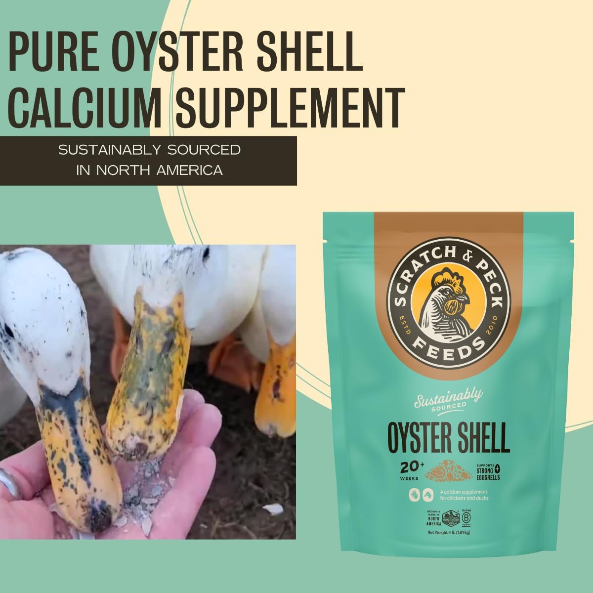 Scratch and Peck Feeds | Oyster Shell Chickens & Ducks | 4 lb Pouch | Essential Calcium Supplement for Eggshell Strength and Hen Health, All Natural, Sustainably Sourced