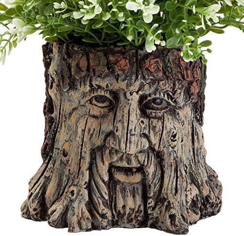 Bits and Pieces - Tree Face Garden Planter Flower Pot - 5 1/2 Inch