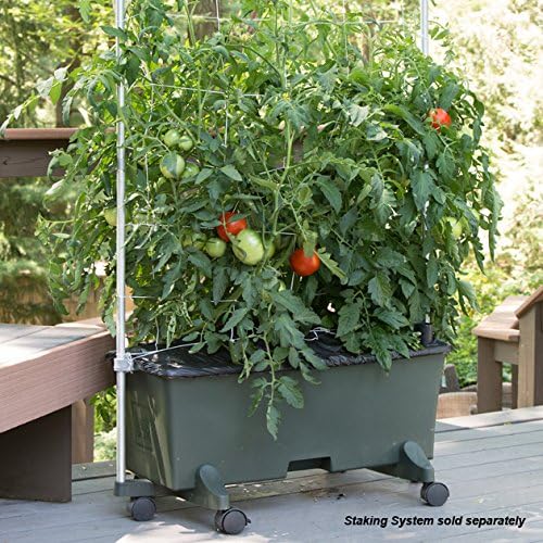 EarthBox® Container Gardening System - Green