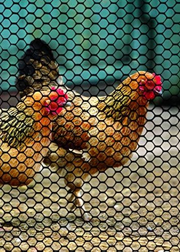 Tenax Poultry Fence - Green Plastic Poultry Fencing, Lightweight, Weather Resistant - 3-ft x 25-ft - Plastic