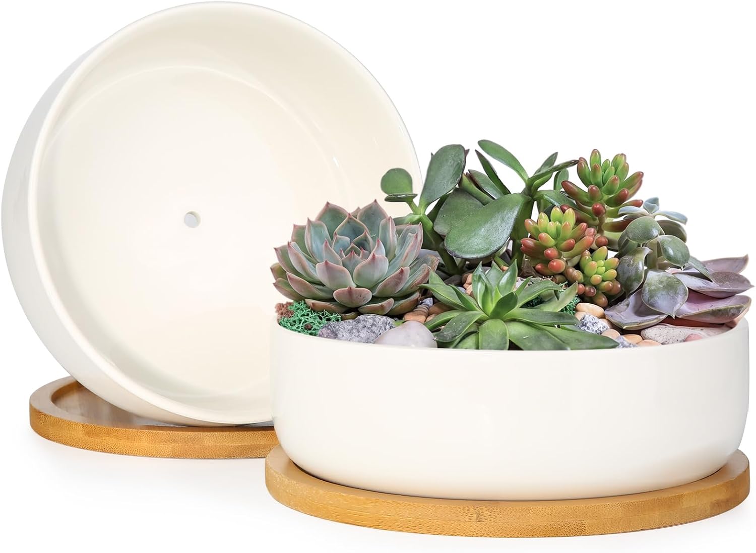 ZOUTOG 2 Pack 6" Ceramic Succulent Pots, White Planters with Drainage Tray