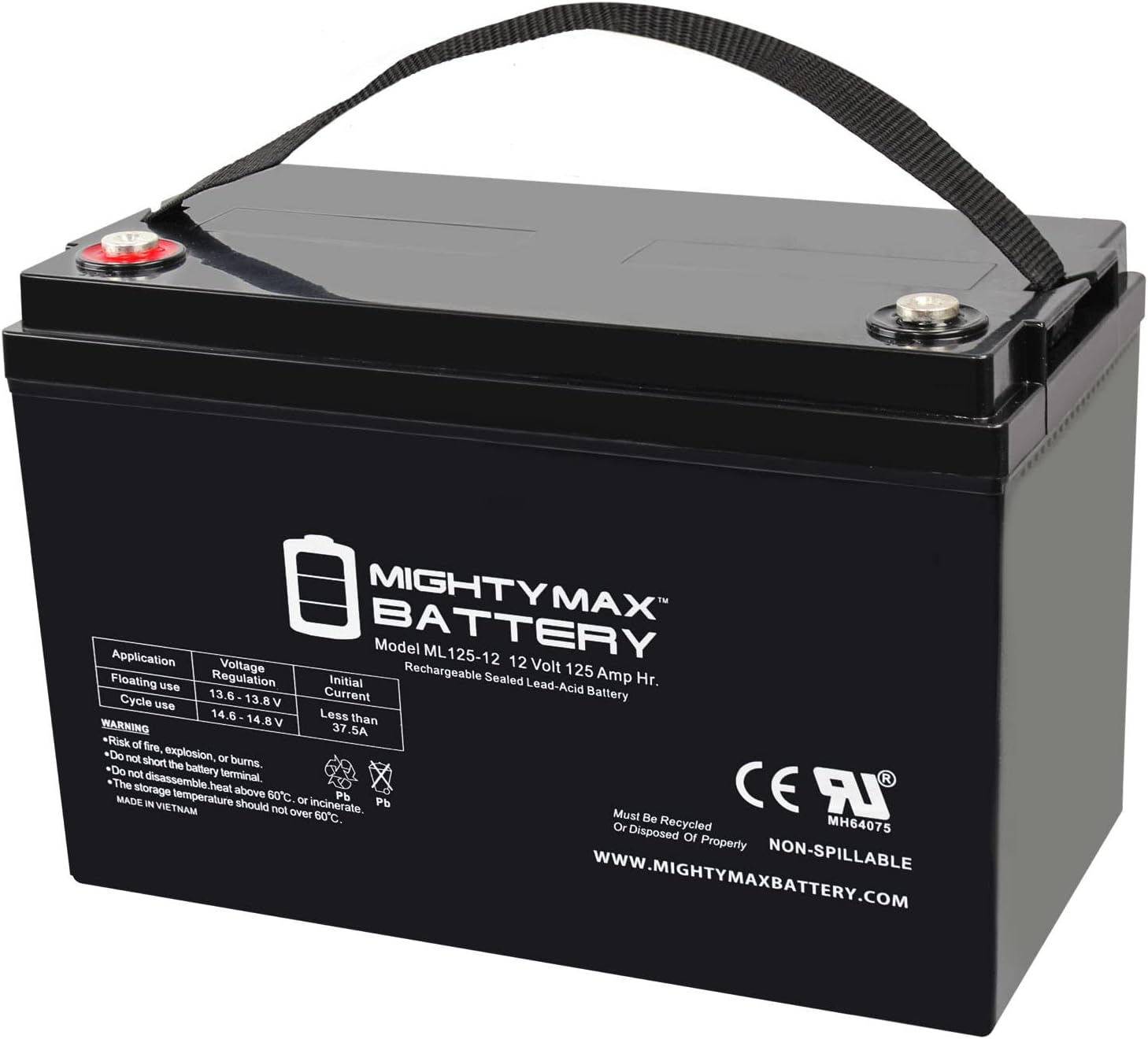 ML100-12 - 12 Volt 100 AH, Internal Thread (INT) Terminal, Rechargeable SLA AGM Battery, 1 Count (Pack of 1)