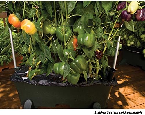 EarthBox® Container Gardening System - Green