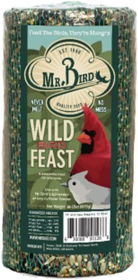 Mr. Bird WildBird Feast Cylinder, 1-Pack, 4 lbs | Wild Bird Seed for Outside Feeders | Premium Blend of Pecans, Sunflower Hearts & Millet | No Mess, No Melt