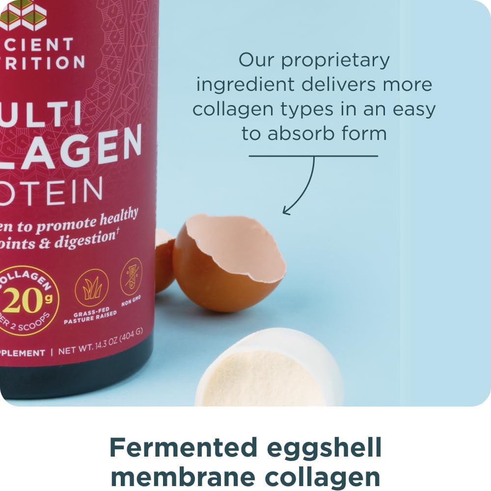 Ancient Nutrition Multi Collagen Protein Powder, 5 Types of Food Sourced Collagen, Providing Types I, II, III, V, and X, 16.2 Ounce