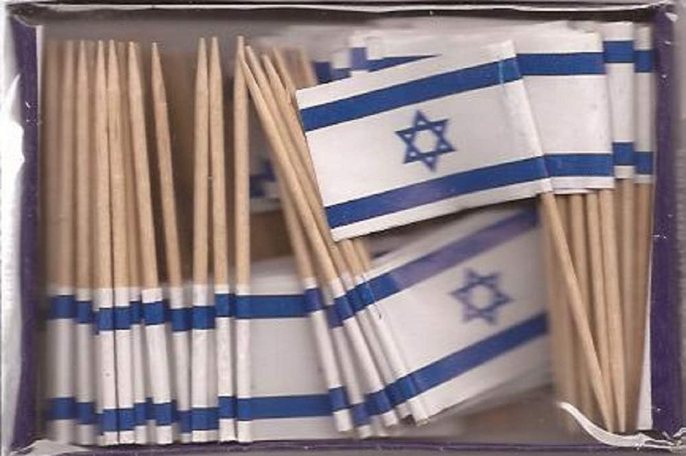 One Box of 100 Nicaragua Toothpick Flags, 100 Small Mini International Flag Cupcake Toothpicks or Cocktail Picks