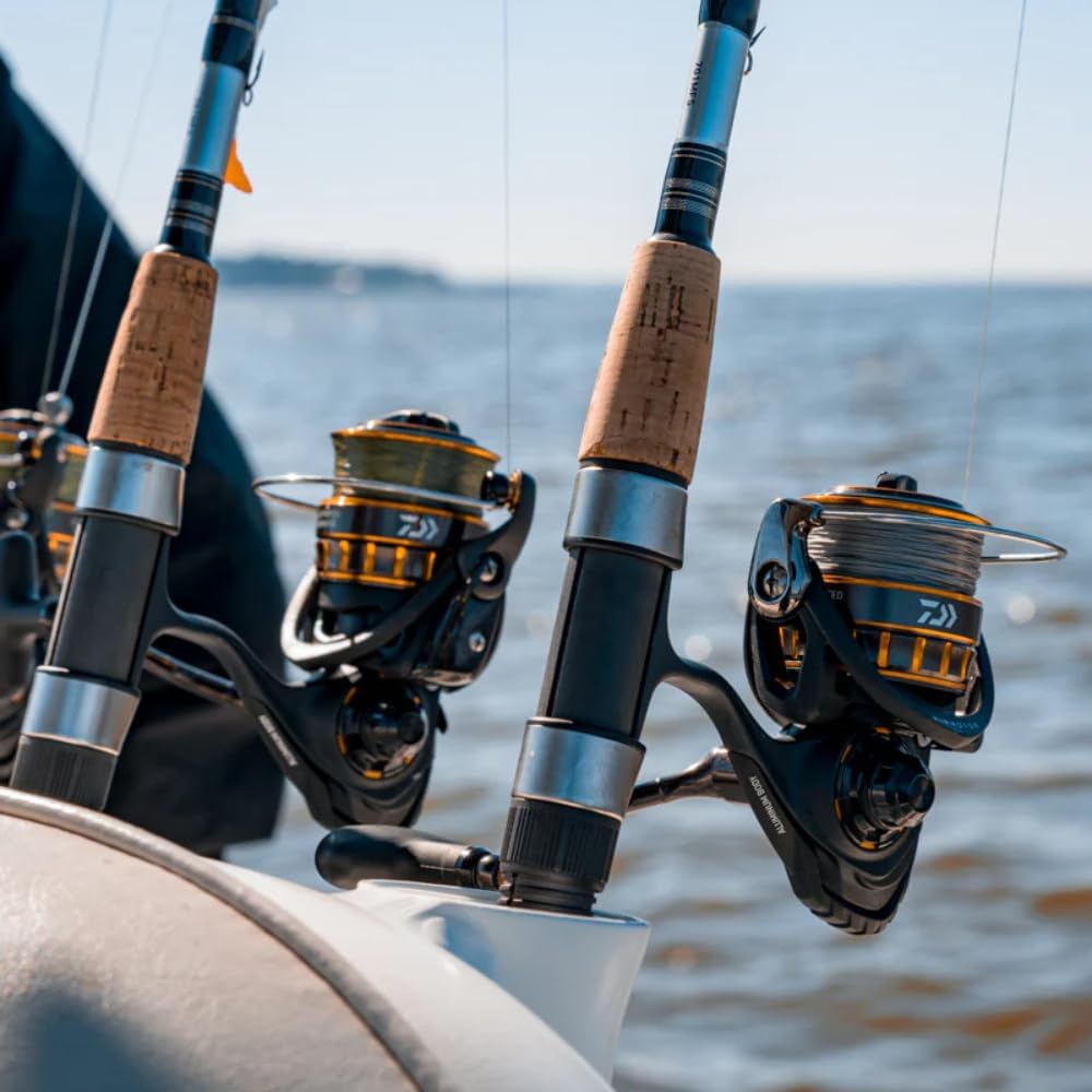 Daiwa BG Saltwater Spinning Reel, Black/Gold