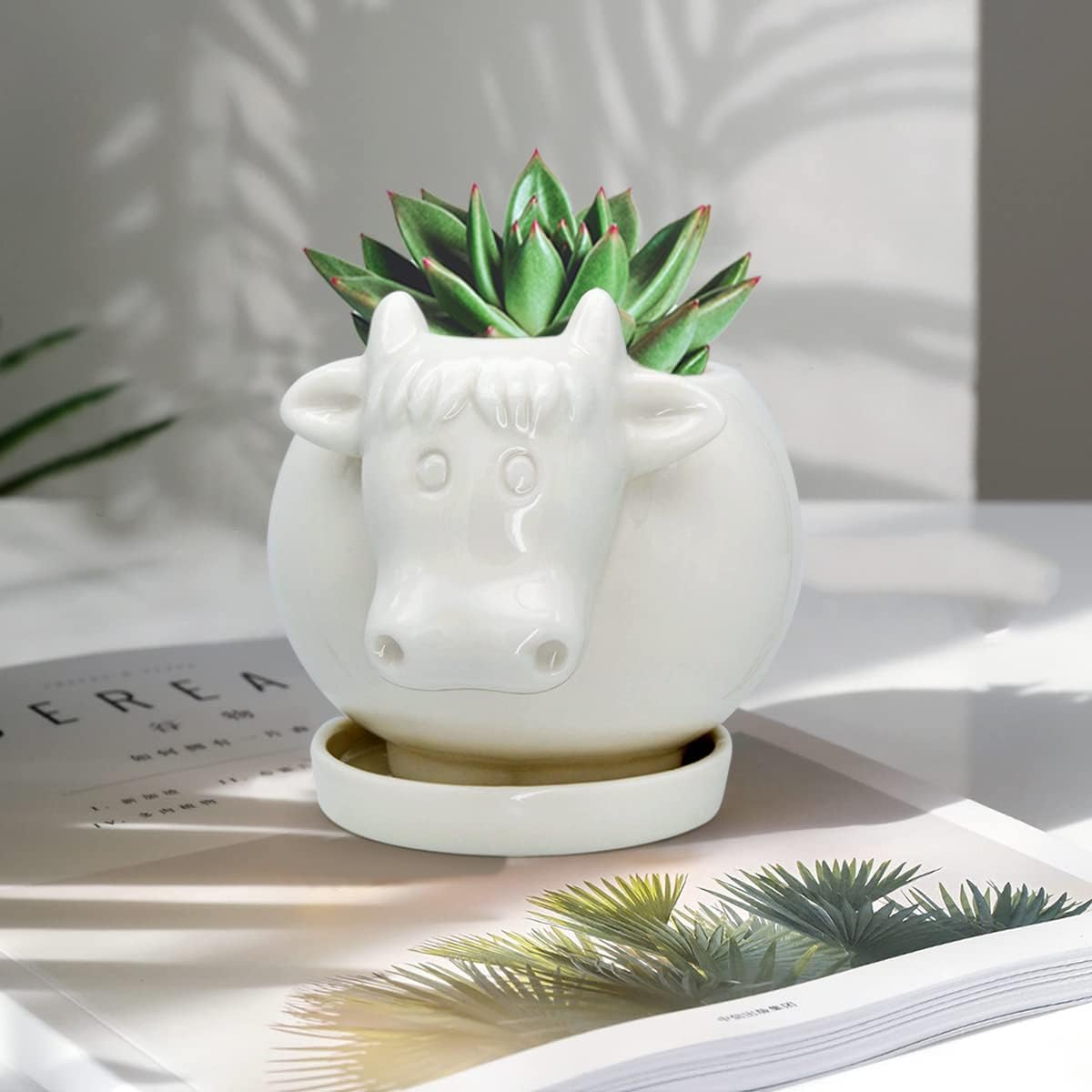 GeLive White Cow Succulent Pot, Small Ceramic Animal Planter with Drainage Hole & Saucer for Cactus, Mini Air Plants, Pencil Holder Brush Organizer, Indoor Home Office Desk Decor, Funny Gift