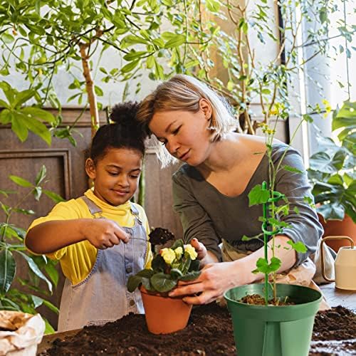 Belit 8 Pack Plant Supports for Small Plants, Garden Flowers Green Plant Support Ring, Planter Support Ring for Schlumbergera, Clivia, Succulents