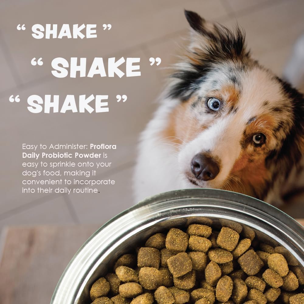 Probiotics and Prebiotics for Dogs – Daily Digestive Health Supplement, Supports Immune System, Gut Health, Healthy Digestion & Nutrient Absorption, 30 Powder Sachets.