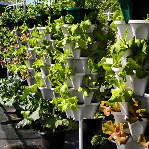 Mr. Stacky 3 Tier Stackable Herb Garden Planter Set with Bottom Saucer - Stone Color - Vertical Container Pots for Herbs, Strawberries, Flowers