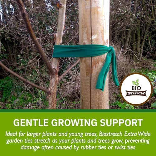 Bio-Stretch Soft Garden Twine & Plant Ties for Outdoor Plants, 1 Ball Green