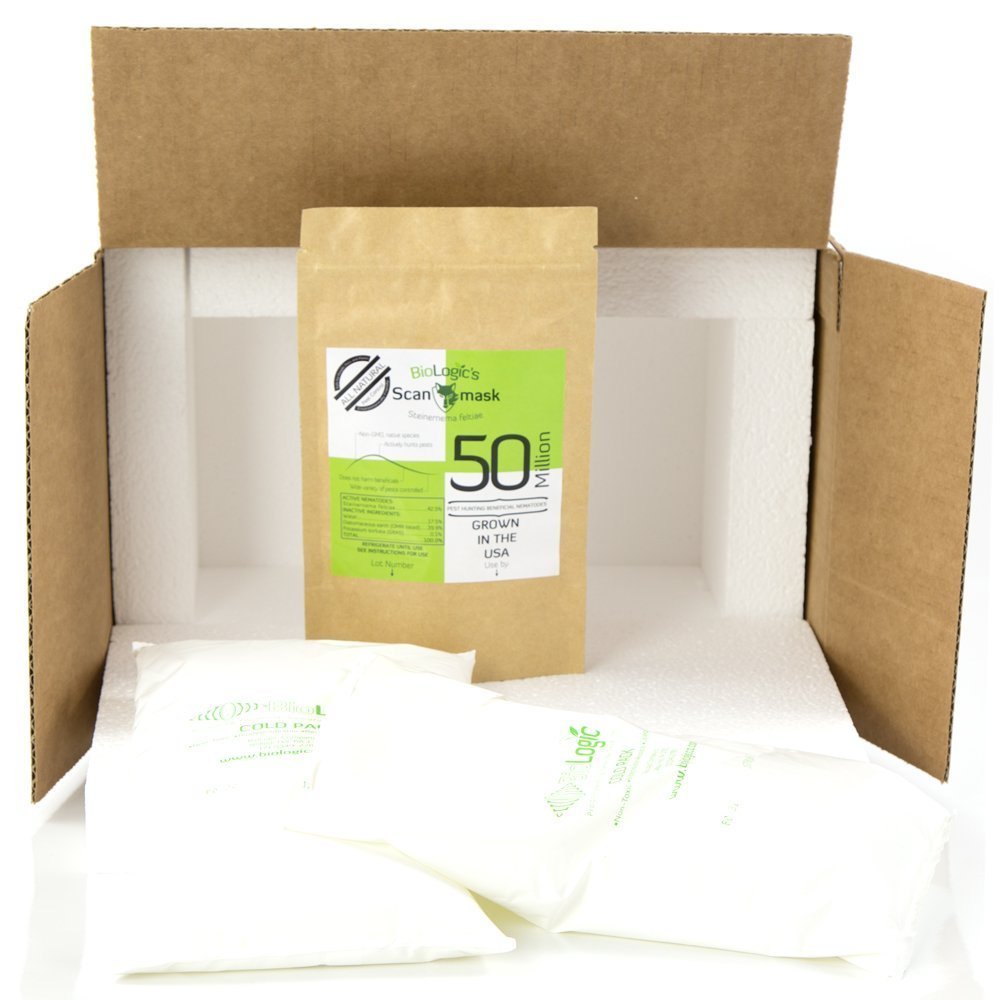 BioLogic's Scanmask Beneficial Nematodes, Steinernema feltiae Sf Nematodes for Natural Insect Pest Control (50 Million)