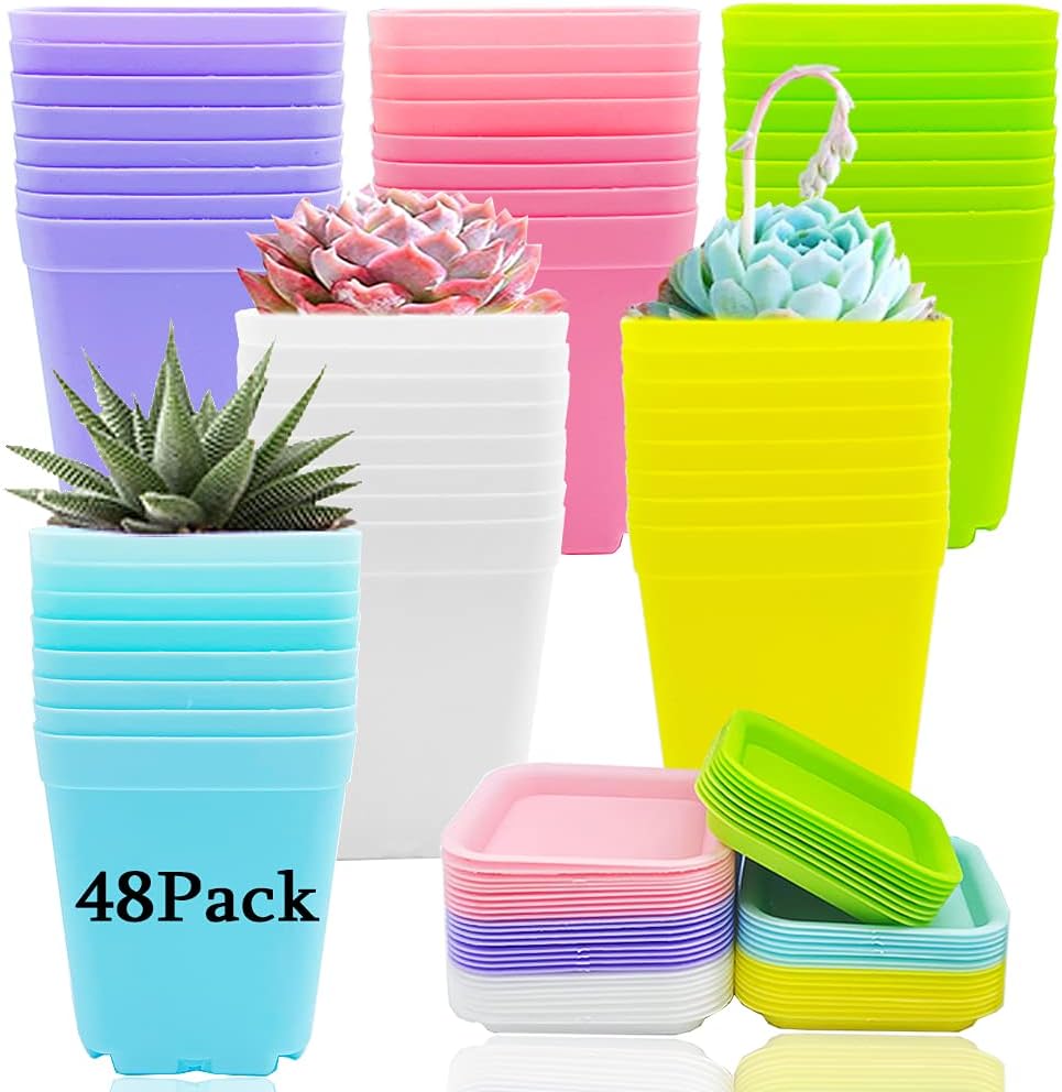 Haawooky 24 Pack Colorful Flower Pots Square Plastic Plant Pots Succulent Planter Nursery Pots with Saucers for Your Room