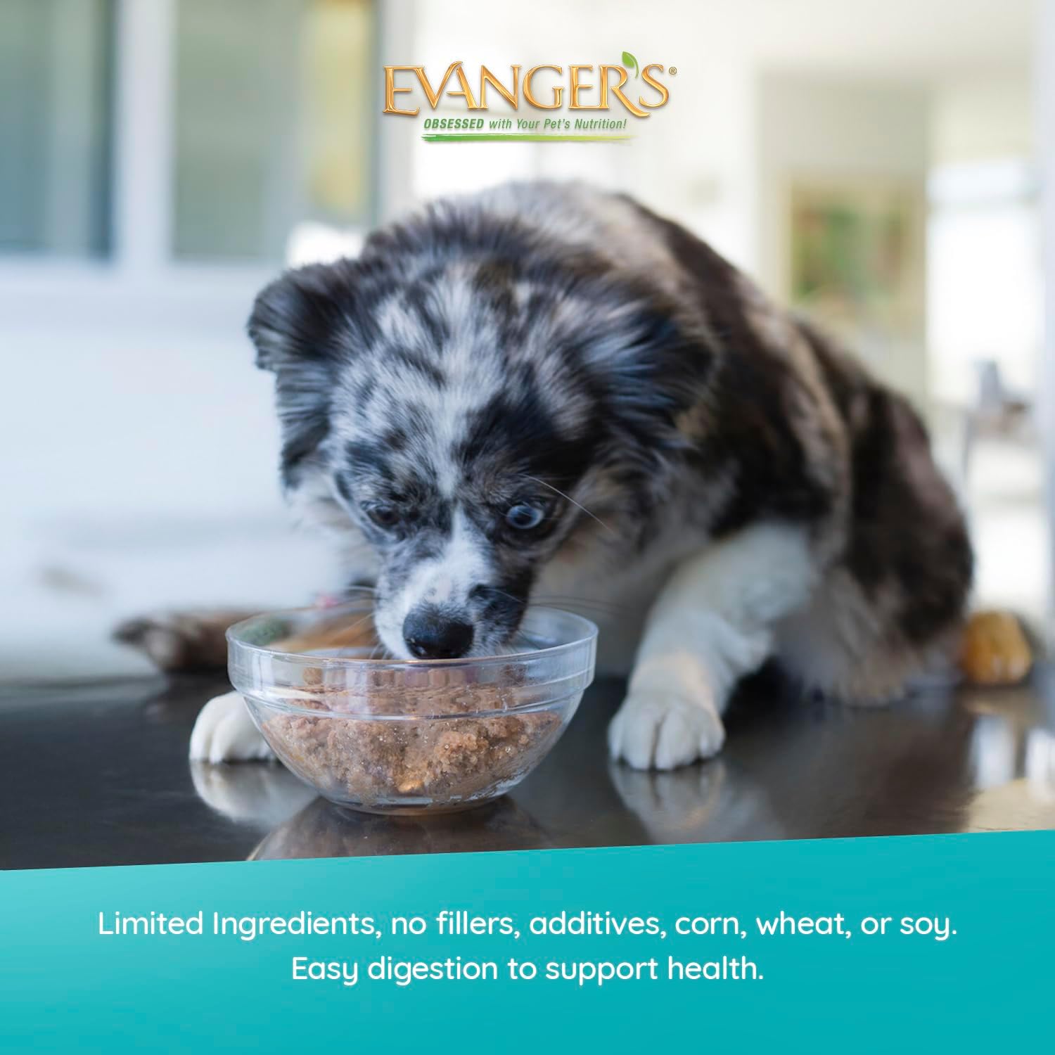 Evanger's Heritage Classic Puppy Food – 12 Count, 12.5 oz Each – Tasty Meat-Based Formula for Puppies & Underweight Dogs – Added Vitamins & Chelated Trace Minerals – Grain & Gluten Free